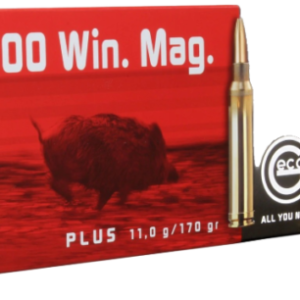 300 win mag ammo for sale